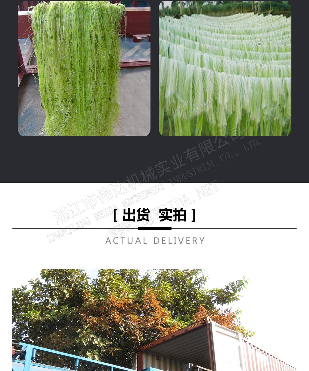 植物纖維加工設(shè)備-纖維壓水拋光一體機(jī)